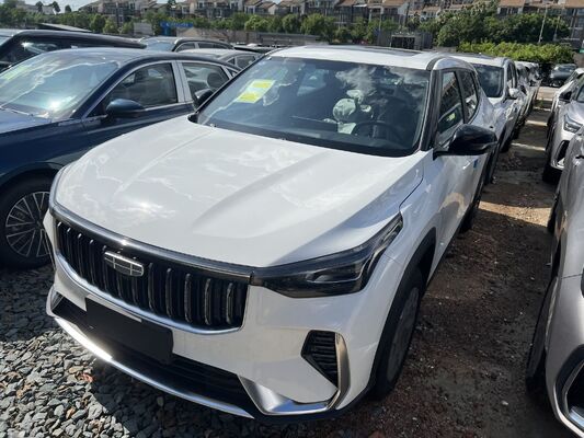 Quality 2026 Geely Boyue 1.5TD 10th Anniversary Champion Edition - White factory