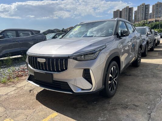 Quality 2026 Geely Boyue 1.5TD 10th Anniversary Champion Edition - Silver factory