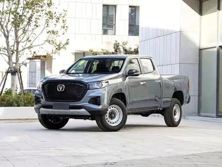 Quality Changan Hunter factory